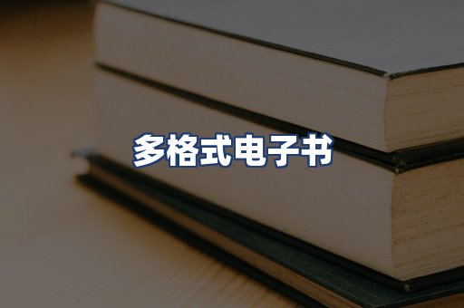 多格式电子书